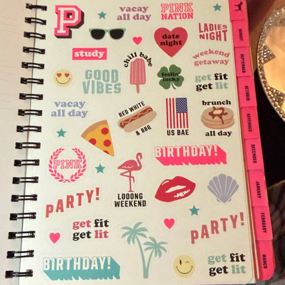 Pink Victoria’s Secret datebooks 2017-2019 for collectors brand new
